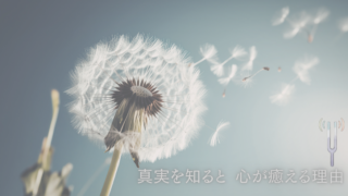 真実を知ると 心が癒える理由